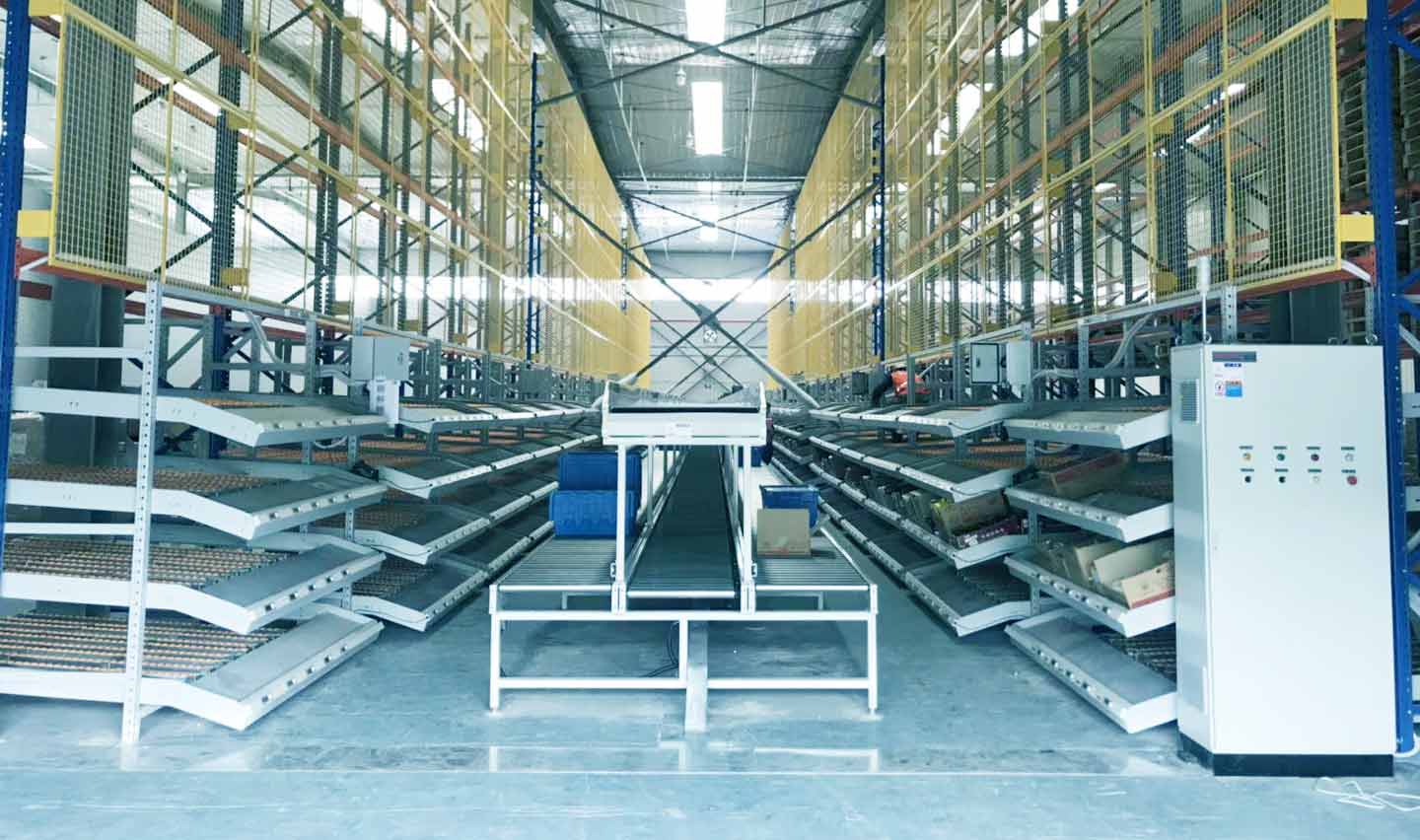 Retail and Wholesale Trading