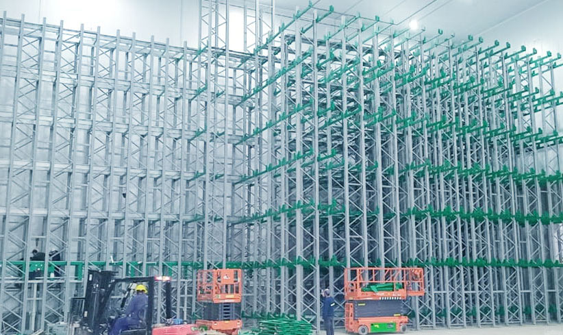 Shuttle and Carrier Dense Storage Solution Highlights