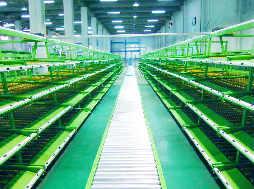 What Is a Carton Flow Rack? How Does It Work?